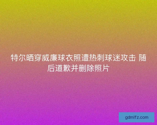特尔晒穿威廉球衣照遭热刺球迷攻击 随后道歉并删除照片 特尔晒穿威廉球衣照遭热刺球迷攻击 随后道歉并删除照片