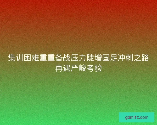 集训困难重重备战压力陡增国足冲刺之路再遇严峻考验 集训困难重重备战压力陡增国足冲刺之路再遇严峻考验